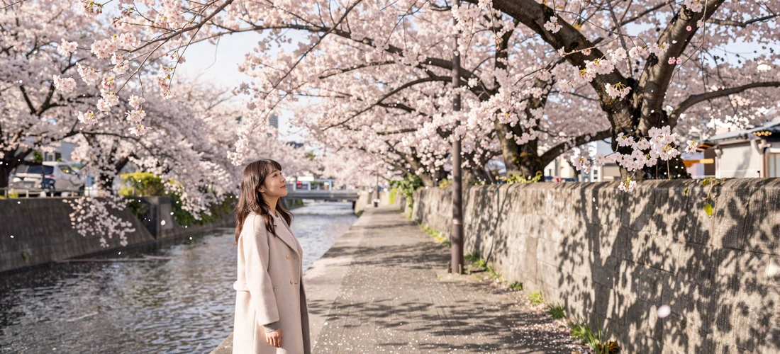 Japanese woman enjoying cherry blossom season along a Tokyo river with falling pink petals